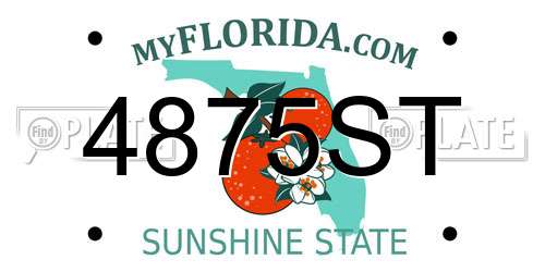 4875ST Florida License Plate
