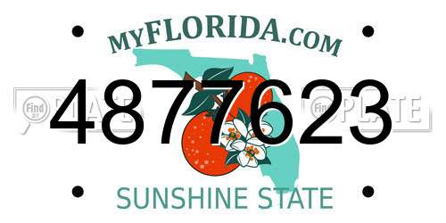 4877623 Florida License Plate