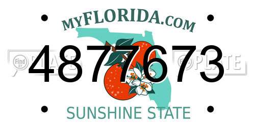 4877673 Florida License Plate