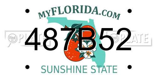 487B52 Florida License Plate