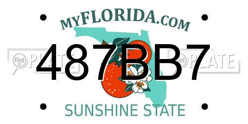 487BB7 Florida License Plate
