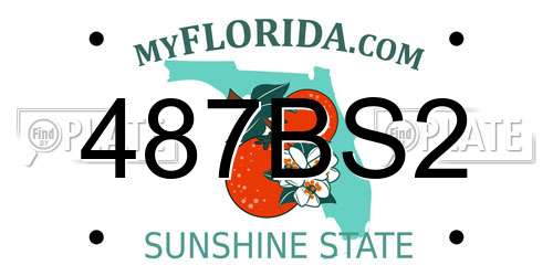 487BS2 Florida License Plate