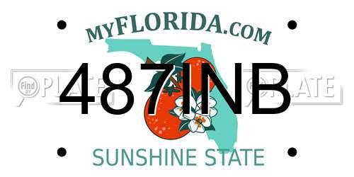 487INB Florida License Plate