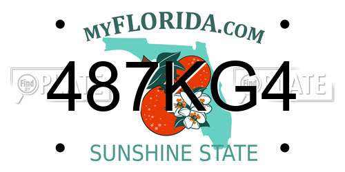 487KG4 Florida License Plate