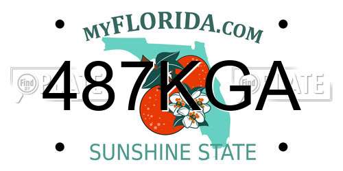 487KGA Florida License Plate