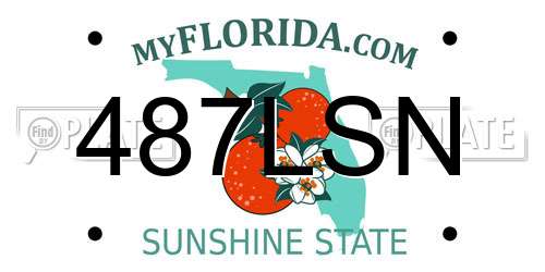 487LSN Florida License Plate