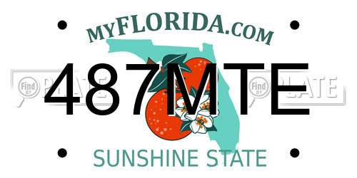 487MTE Florida License Plate