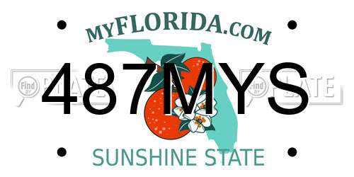 487MYS Florida License Plate