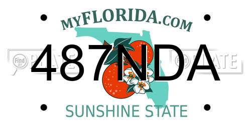 487NDA Florida License Plate