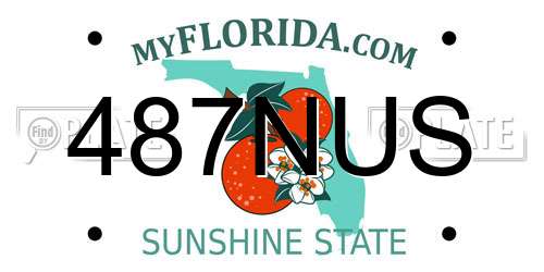 487NUS Florida License Plate