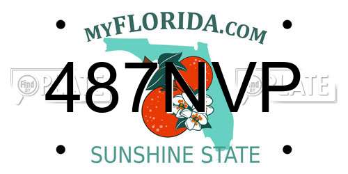 487NVP Florida License Plate