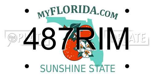 487RIM Florida License Plate