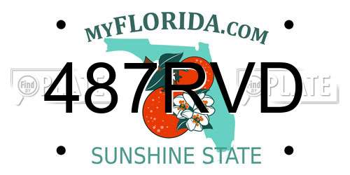 487RVD Florida License Plate