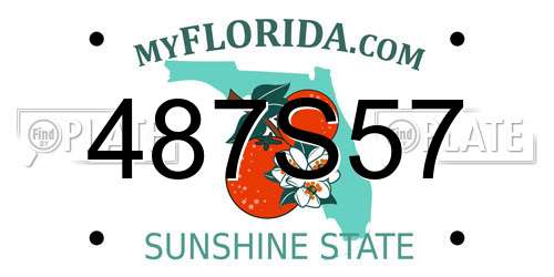 487S57 Florida License Plate