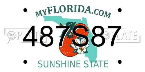 487S87 Florida License Plate