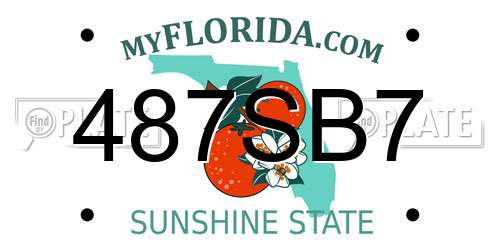 487SB7 Florida License Plate
