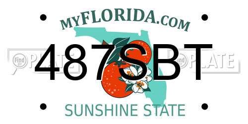 487SBT Florida License Plate