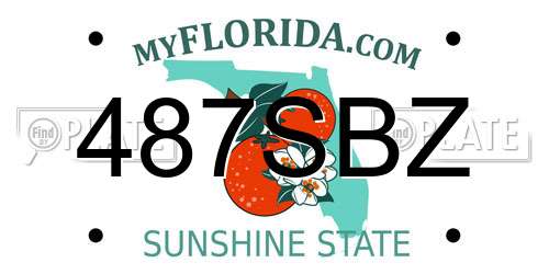 487SBZ Florida License Plate