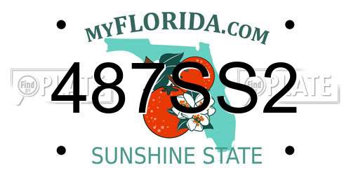 487SS2 Florida License Plate