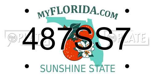 487SS7 Florida License Plate