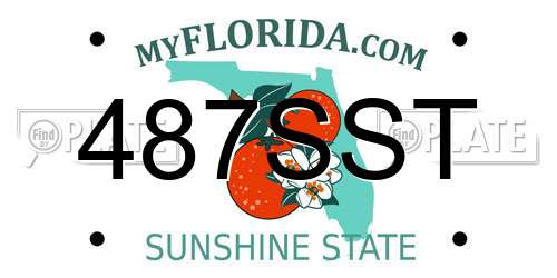 487SST Florida License Plate
