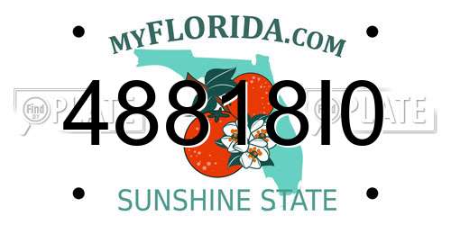 48818I0 Florida License Plate