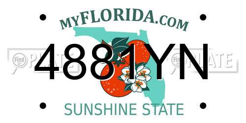4881YN Florida License Plate
