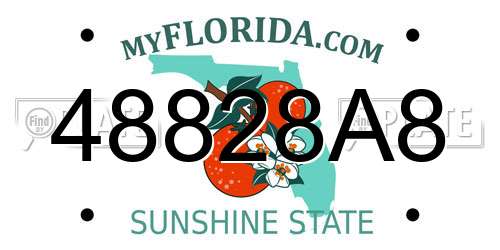 48828A8 Florida License Plate