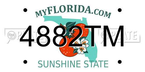 4882TM Florida License Plate