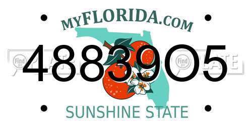 48839O5 Florida License Plate