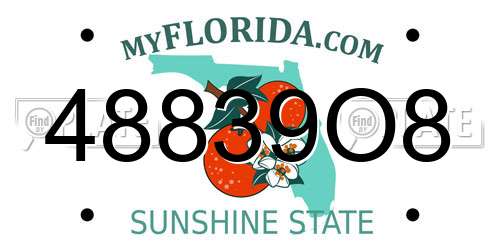 48839O8 Florida License Plate