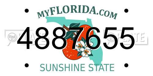 4887655 Florida License Plate
