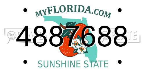 4887688 Florida License Plate