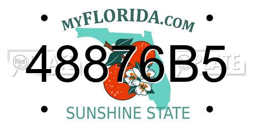 48876B5 Florida License Plate