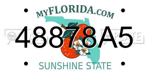 48878A5 Florida License Plate