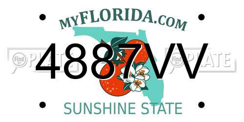 4887VV Florida License Plate
