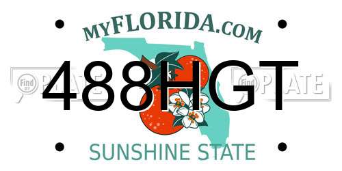 488HGT Florida License Plate