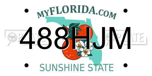 488HJM Florida License Plate