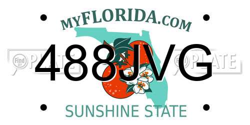 488JVG Florida License Plate