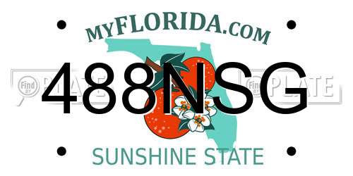 488NSG Florida License Plate