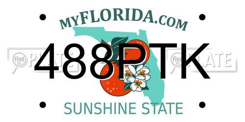 488PTK Florida License Plate
