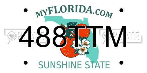 488TTM Florida License Plate