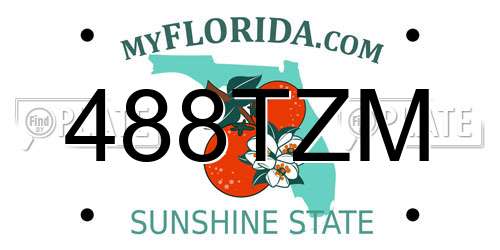 488TZM Florida License Plate