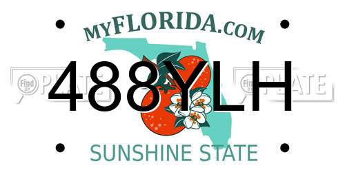 488YLH Florida License Plate