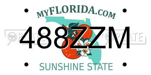 488ZZM Florida License Plate