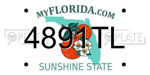 4891TL Florida License Plate