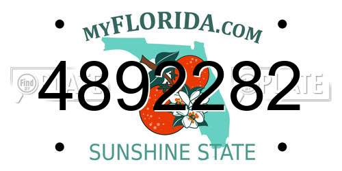 4892282 Florida License Plate