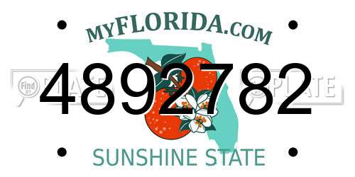 4892782 Florida License Plate