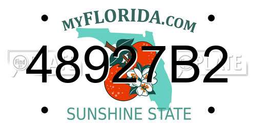48927B2 Florida License Plate