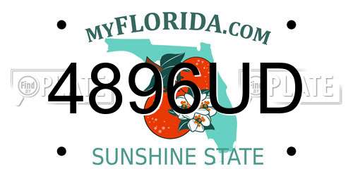 4896UD Florida License Plate